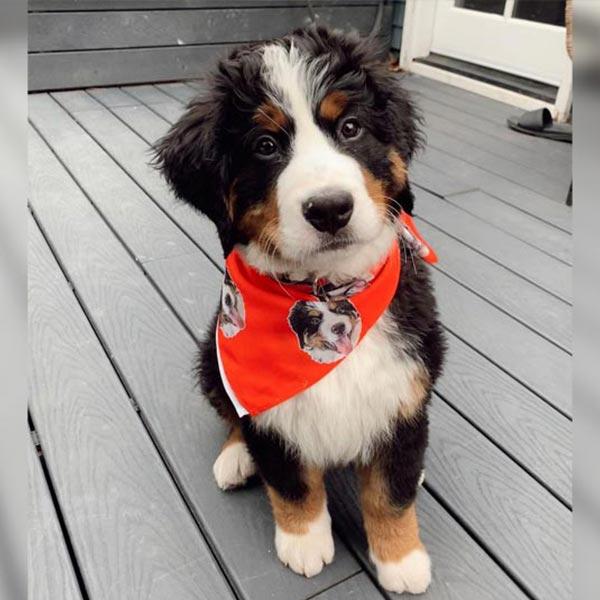 Rocking my new bandana