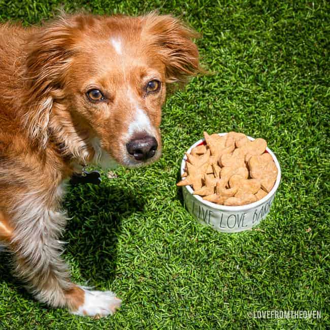 These treats are amazing!